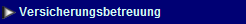 s4.1sehr lang 246